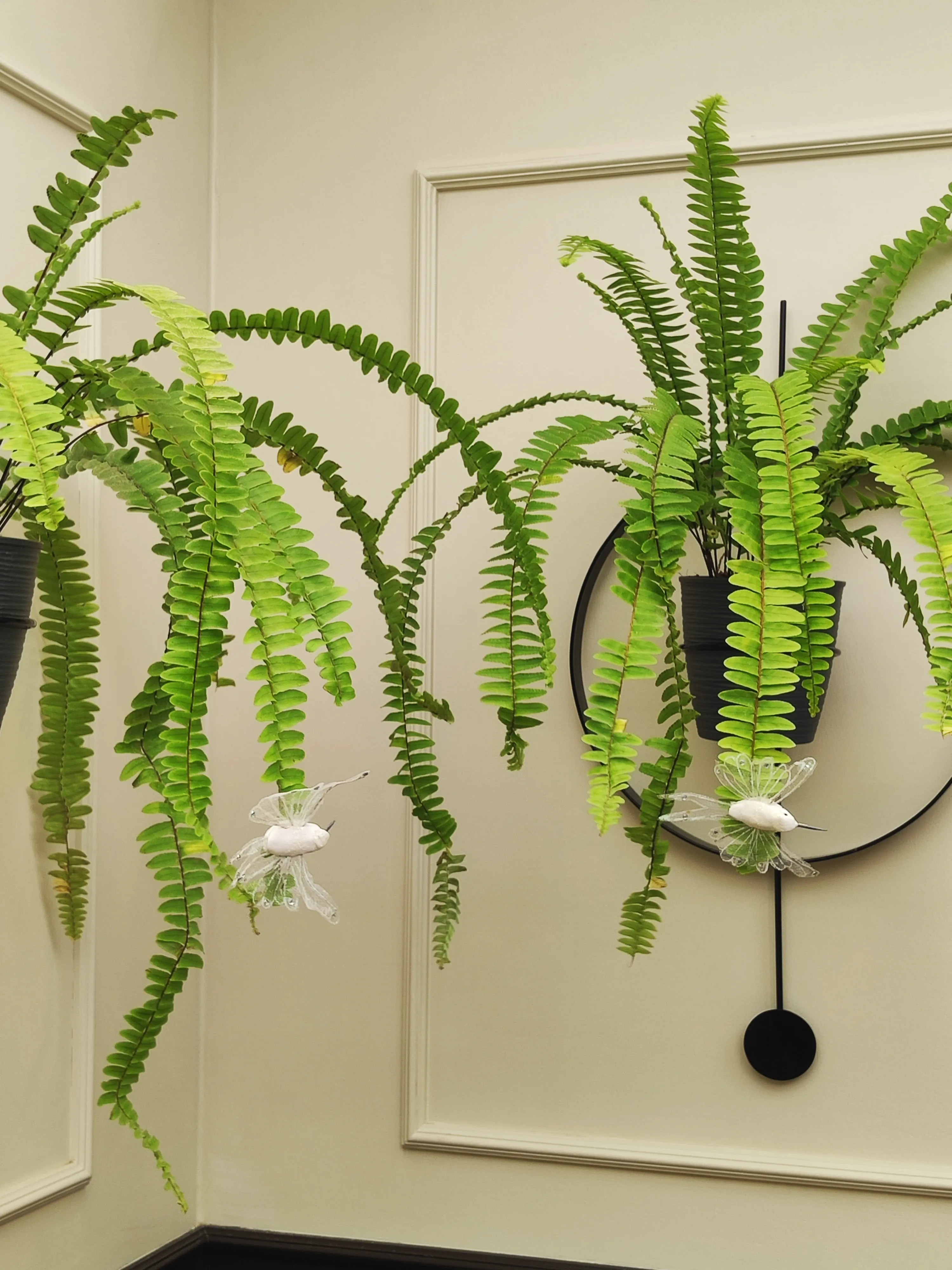 Proyecto C1 - imagen 8